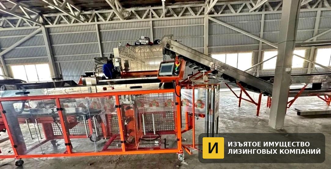 Б/у Автоматическая линия по упаковке овощей и фруктов в ПЭ пакеты